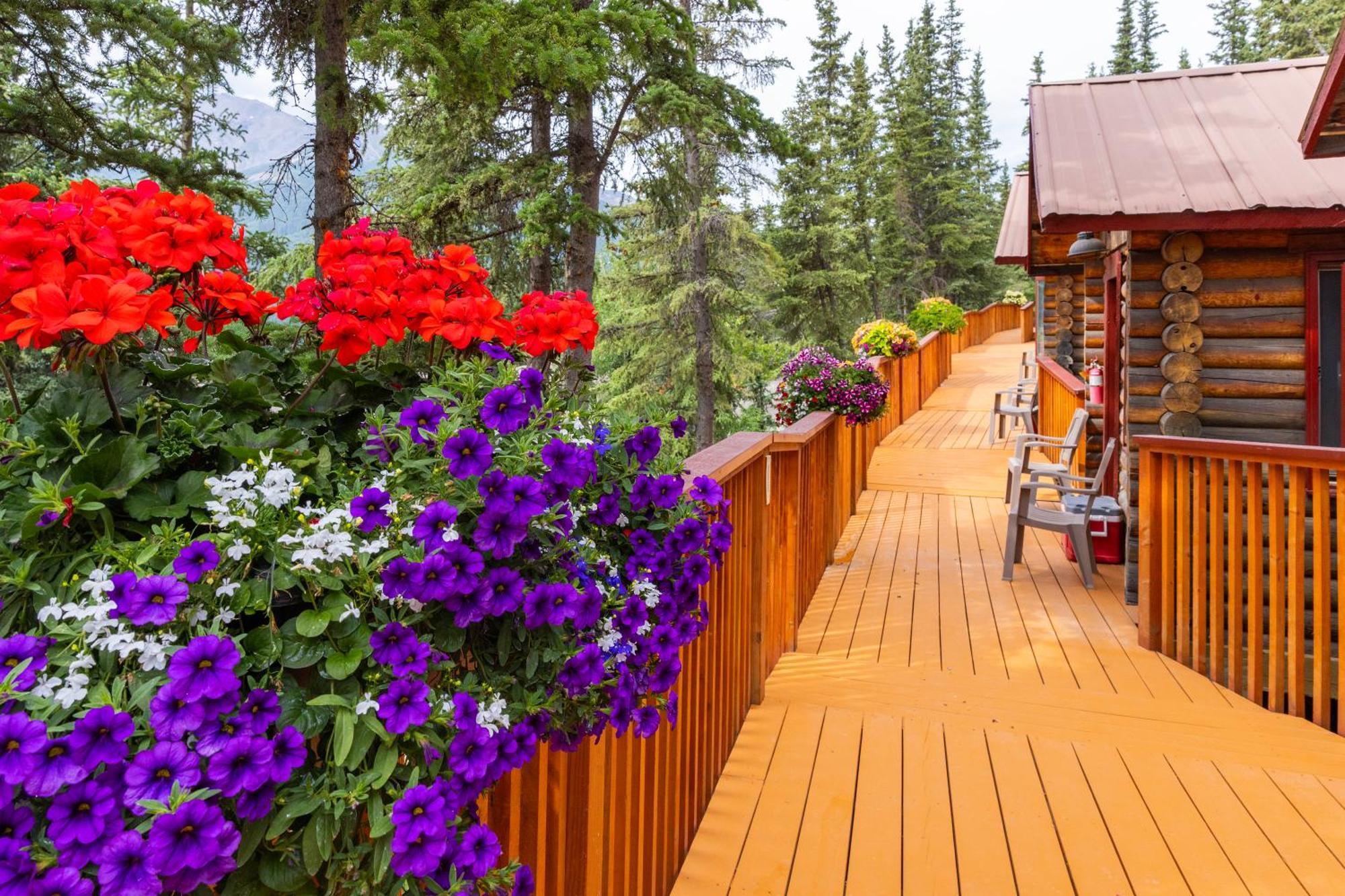 Denali Crow'S Nest Cabins Denali Park Exteriör bild