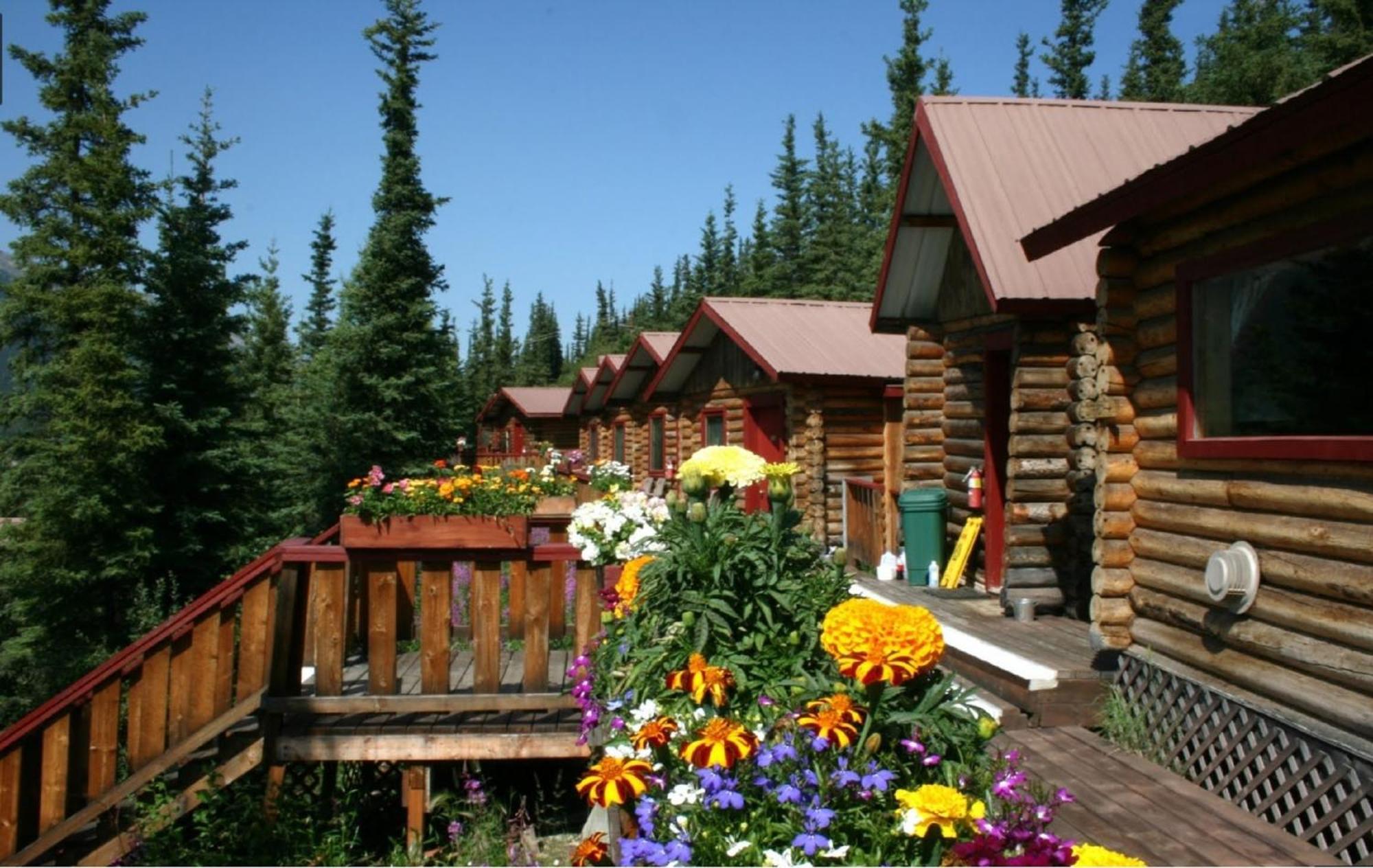Denali Crow'S Nest Cabins Denali Park Exteriör bild